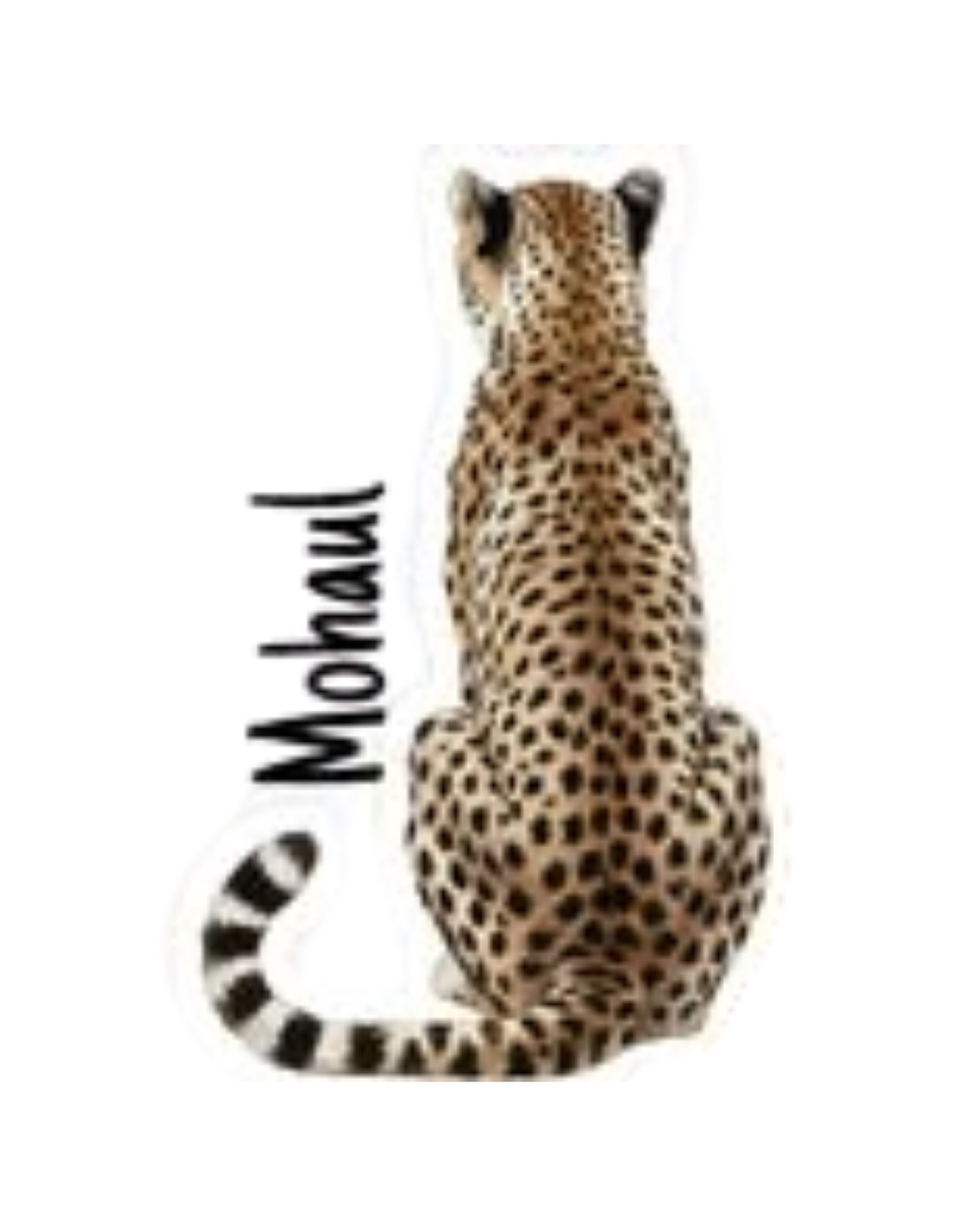Mohaul Logo